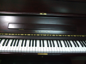 SAMICK(Ƽt⣩
